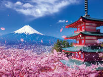 Без бренда «2KSB-7277» в Смоленске