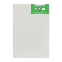 Без бренда «Коробка 80 шт.: Холст Две картинки на подрамнике 20X30» в Смоленске