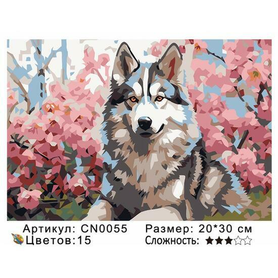 Картина по номерам 20x30 CN0055