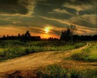 Без бренда «Проселочная дорога на закате» в Смоленске