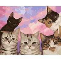 Без бренда «Такие разные котики» в Смоленске