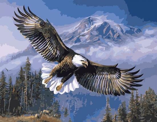 Алмазная мозаика 40x50 Гордый орлан на охоте в горах