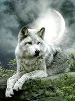 Без бренда «Коробка 25 шт. картин по номерам BOX25-GX21058» в Смоленске