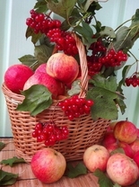 Без бренда «Коробка 25 шт. картин по номерам BOX25-GX5174» в Смоленске в интернет-магазине  Без бренда «Коробка 25 шт. картин по номерам BOX25-GX5174» в Смоленске