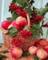Без бренда «Плетёная корзина с калиной и яблоками» в Смоленске