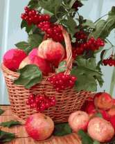 Без бренда «Плетёная корзина с калиной и яблоками» в Смоленске в интернет-магазине  Без бренда «Плетёная корзина с калиной и яблоками» в Смоленске