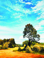 Без бренда «Осенний пейзаж с голубым небом» в Смоленске в интернет-магазине  Без бренда «Осенний пейзаж с голубым небом» в Смоленске