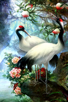 Без бренда «Коробка 25 шт. картин по номерам BOX25-GX29399» в Смоленске в интернет-магазине  Без бренда «Коробка 25 шт. картин по номерам BOX25-GX29399» в Смоленске