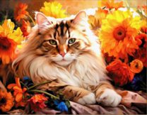 Пушистая кошка греется на солнышке