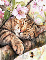 Без бренда «Волосатый котик спит на ветви яблони» в Смоленске