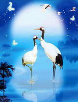 Пара журавлей в озере под полной луной