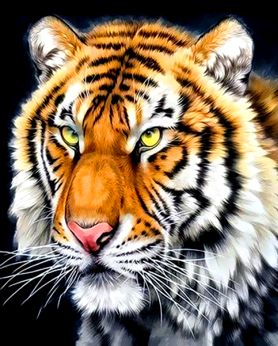 Алмазная мозаика частичная выкладка 21x25 Красивый тигр 